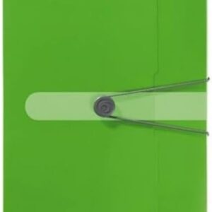 Herlitz Archive Box A4 Polypropylene with Spine Label Back Width 4 Cm, 1 Piece, Design Print Opaque Apple apfel