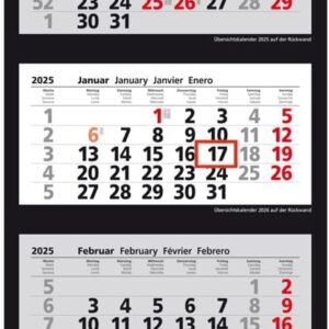 Herlitz Wall Calendar 4 Months 2025