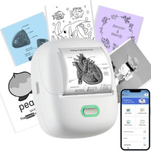 ORGSTA S002 Label Printer Self-Adhesive Labelling Device Bluetooth 300 DPI Labelling Machines Labelling Device Label Printer Sticker Maker (Female)