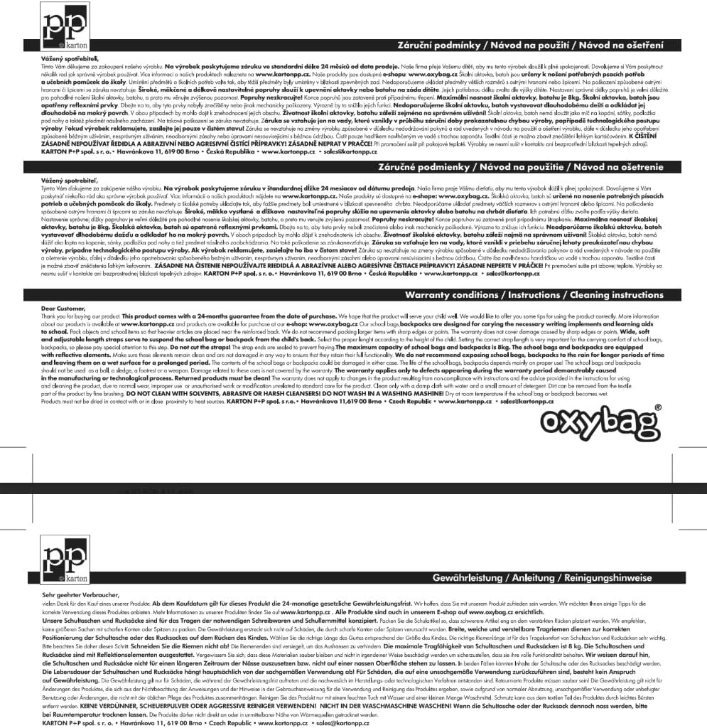 Premium School Set 4 Pieces: Ergonomic School Backpack, Sports Bag & Pencil Case with A4 Document Box Ideal for 1st & 2nd Class, Auto, Backpack – Bild 2