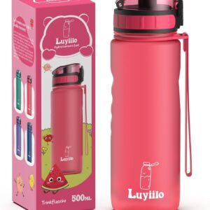 Luyiilo Children's Leak-Proof Drinking Bottle, 0.5 L, BPA-Free, with Fruit Insert, Dishwasher-Safe Water Bottle, Perfect for School, Kindergarten, Sports (Pink)