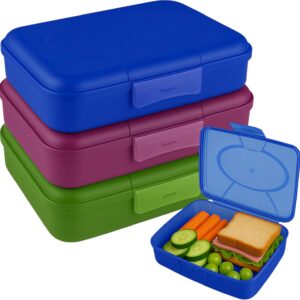 Lunch Box Set of 3 Lunch Box for Children and Adults Perfect for School, Office, Work or Nursery - Dishwasher Safe