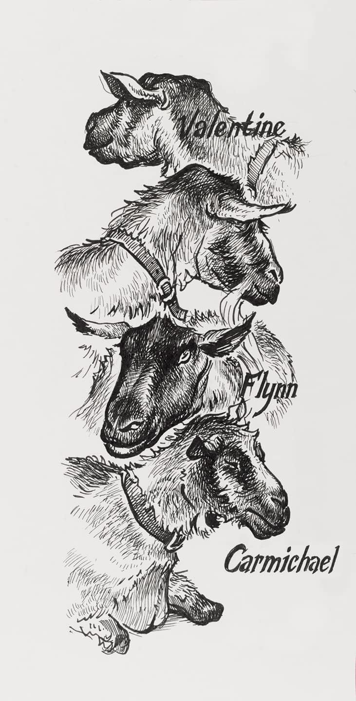 Faber-Castell 167115 Pitt Artist Pen, Indian Ink Pen, Pack of 4, Contents: M, F, S, XS, Black, Black – Bild 5