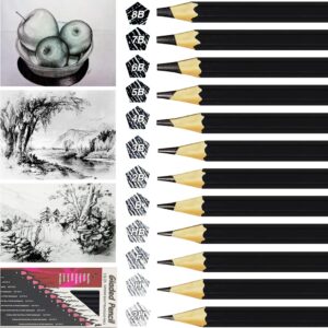 OWLKELA 12 Piece Pencils, Pencil Set - 2H H F HB B 2B 3B 4B 5B 6B 7B 8B, Sketching Pencils, Drawing Pencils - Artistic Creations, Drawings, Sketching - Lover of Painting