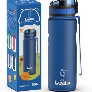 Luyiilo Children's Leak-Proof Sports Drinking Bottle for School, Hiking & Gym, Suitable for Carbonated Drinks, BPA-Free, with Fruit Insert (Blue, 500 ml)