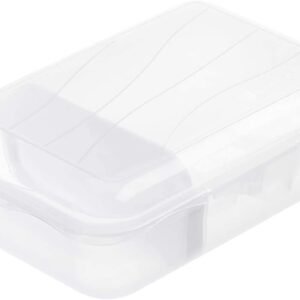 Rotho Fun Lunch Box with Removable Divider Plastic (BPA Free)