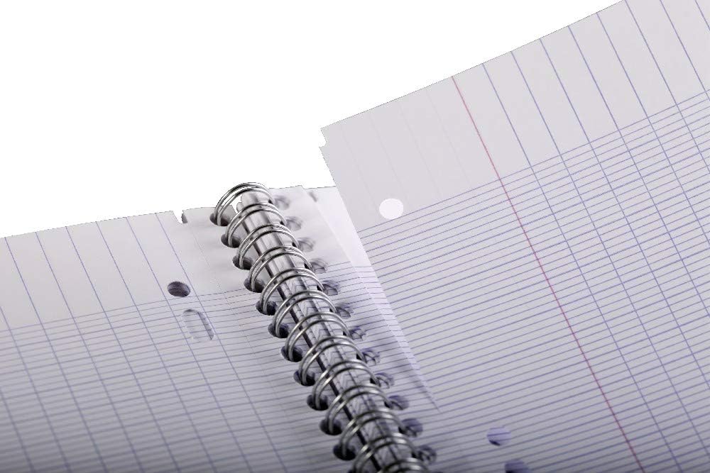 Clairefontaine 8251C - Pack of 5 College Notepads DIN A4+ with Ring Binder Holes, 4-Hole Punched, 80 Sheets French Ruling, 90 g, Assorted Colours, 1 Pack – Bild 5