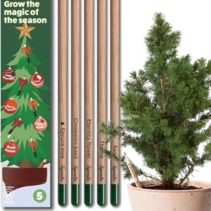 Sprout World Plantable Pencils | Xmas Edition | Wooden Housing | Pre-Sharpened | Pack of 5 | HB Wooden Pens with Assortment of Winter Seeds, Christmas Stocking Filler