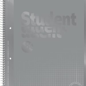 Brunnen 1067928190 Student Spiral-Bound Notebook, Squared, A4, Ruling: 28, 90 g/m², 80 sheets, Silver