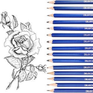 Pencil Set, 15 Drawing Pencils Set 14B 12B 10B 8B 6B 5B 4B 3B 2B B HB H 2H 3H 4H, Sketching Pencils, Drawing Pencils - Artistic Creations, for Adults, Beginners, Professional Drawing
