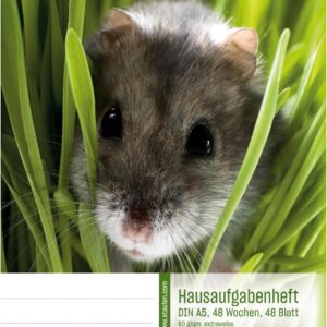 Staufen Style Homework Book - 5 Notebooks for 48 Weeks Each (48 Sheets), DIN A5, 80 g/m² Paper