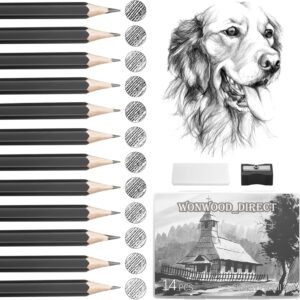 Pencil Set 14 Drawing Pencils, Drawing Pencils Professional Set with Pencil Sharpener and Eraser, Pencils Drawing Set for Artists, Children, Adults, Drawings, Sketching Lovers