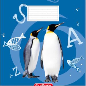 Herlitz Notebook Exercise Book A4/16 FSC Mixed Pack of 10 with Motif Assorted