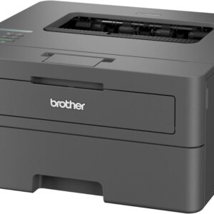 Brother HL-L2400DW Laser Printer 4 Months EcoPro incl. Automatic Duplex Printing LC Display Toner for up to 700 Pages Included