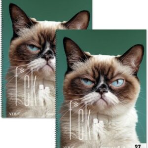 Staufen F*ck it Cat College Notepad, 2 Pads 80 Sheets each, Line Style 27 (9 mm Ruled with Margin Lines), DIN A4, 4-Way Curling, 70 g/m² Paper