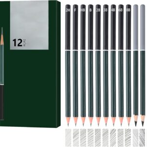 Pencil Set [12 Pieces], 2H F HB B 2B 3B 4B 6B 8B and 3 Charcoal Pencils, Hard Charcoal, Medium Charcoal, Professional Pencil Set for Drawing, Drawing