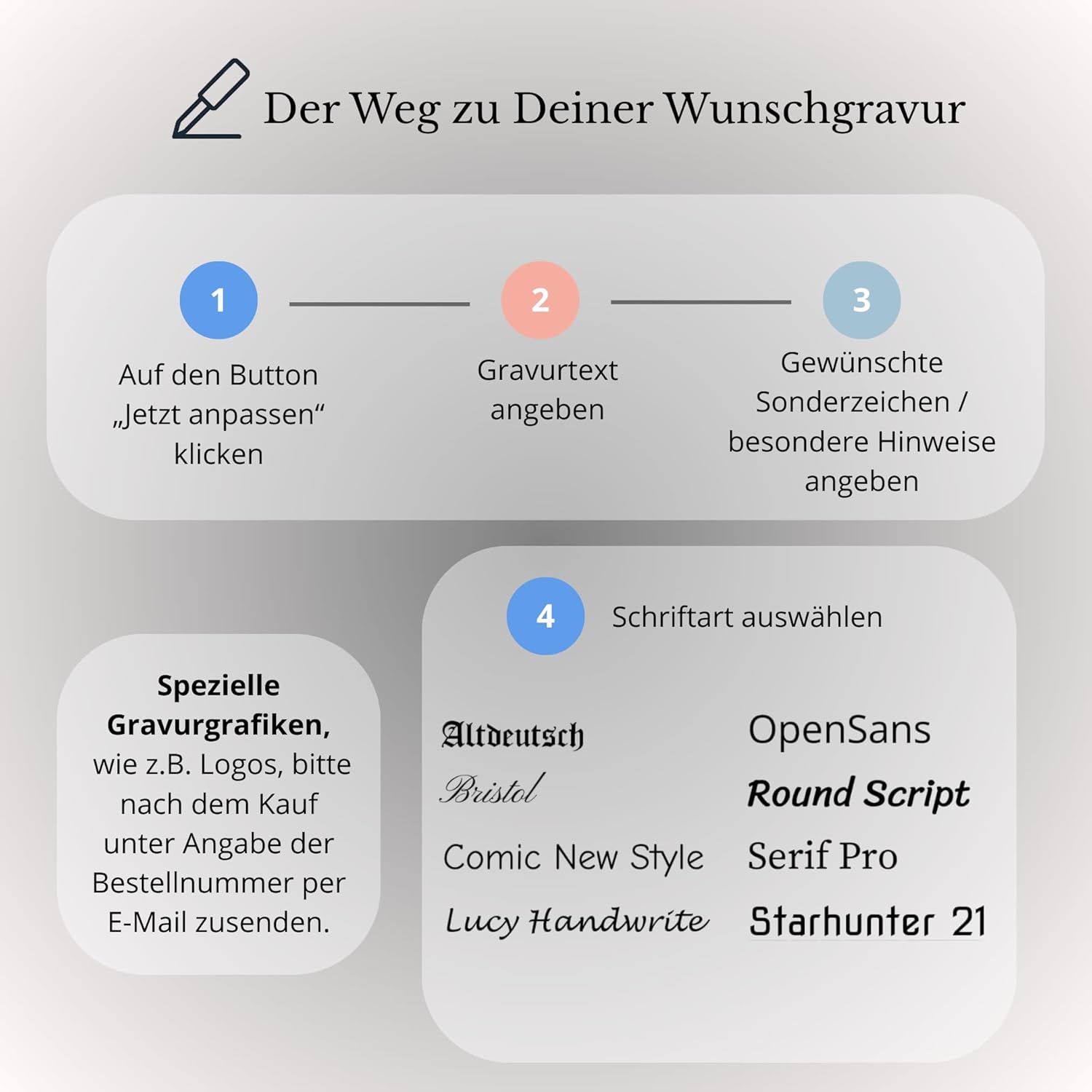 Lamy Fountain Pen Logo Brushed Model 06 Nib M Stainless Steel with Laser Engraving