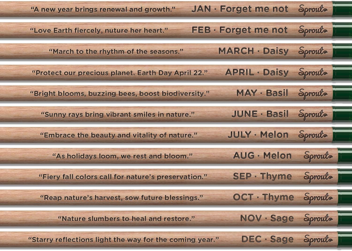 Sprout World Pencil | Everyday Earth | Plantable Graphite Pens with Flower Seeds | Environmentally Friendly Organic Wood | Sustainable Gift Ideal for Drawing, Sketching & Shading | Pack of 12 – Bild 3