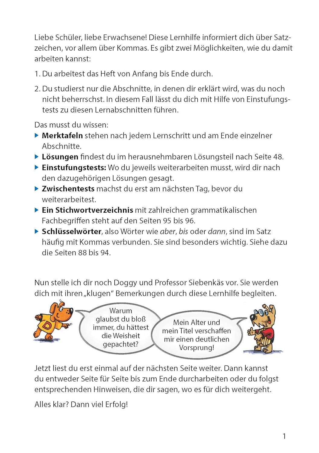 Zeichensetzung ab 6. Klasse und für Erwachsene – Bild 4