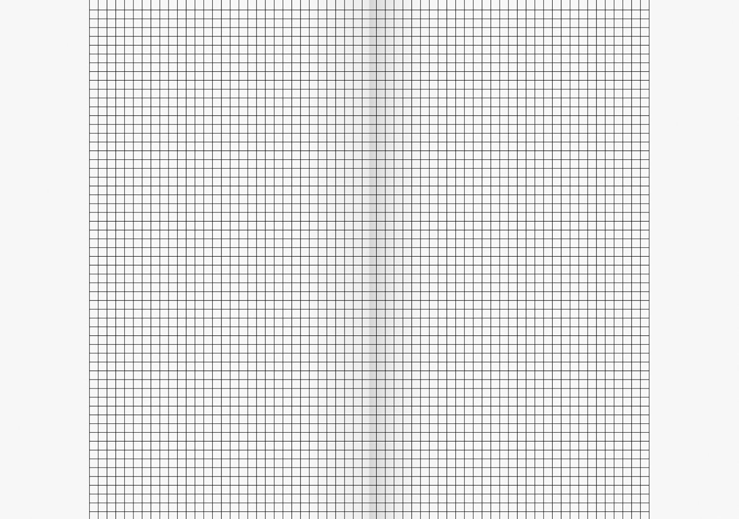 Brunnen 104492611 Exercise Book (A4,16 Sheets, 5 mm Squared, with Margins, Line Style 26), Pack of 10 – Bild 3
