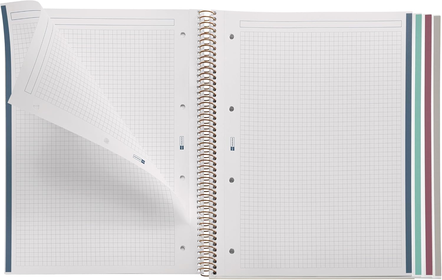 Miquelrius - Notebook A4 (210 x 297 mm), Squared 5 mm, 120 Sheets 70 g/m², Green Card Cover, 4 Coloured Stripes, Copper Spiral, Spring Flowers Collection – Bild 3