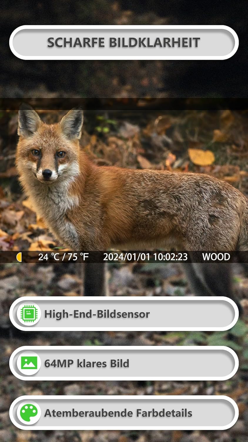 GardePro E8P Max Wildkamera WLAN, Wiederaufladbare 8000mAh Akku, Integrierte SD Karte, 64MP 1296P, E8PMB Wildtierkamera mit bewegungsmelder nachtsicht, Handyübertragung – Bild 4