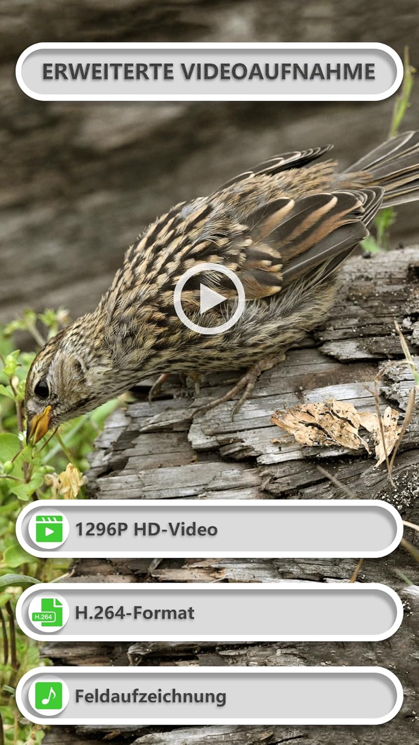 GardePro E8P Max Wildkamera WLAN, Wiederaufladbare 8000mAh Akku, Integrierte SD Karte, 64MP 1296P, E8PMB Wildtierkamera mit bewegungsmelder nachtsicht, Handyübertragung – Bild 5