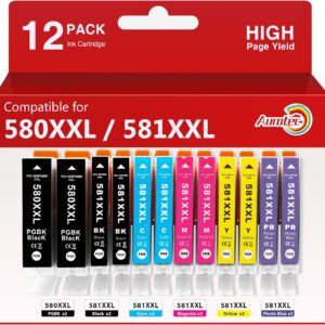 580 581 XXL Compatible with Canon Printer Cartridges 580 581 XXL Multipack PGI-580 CLI-581 for Canon Pixma TS8350 TS8351 TS8352 TS8150 TS8151 TS8152 TS8250 TS8251 TS8252 TS915 0 TS9155(12 Pack)