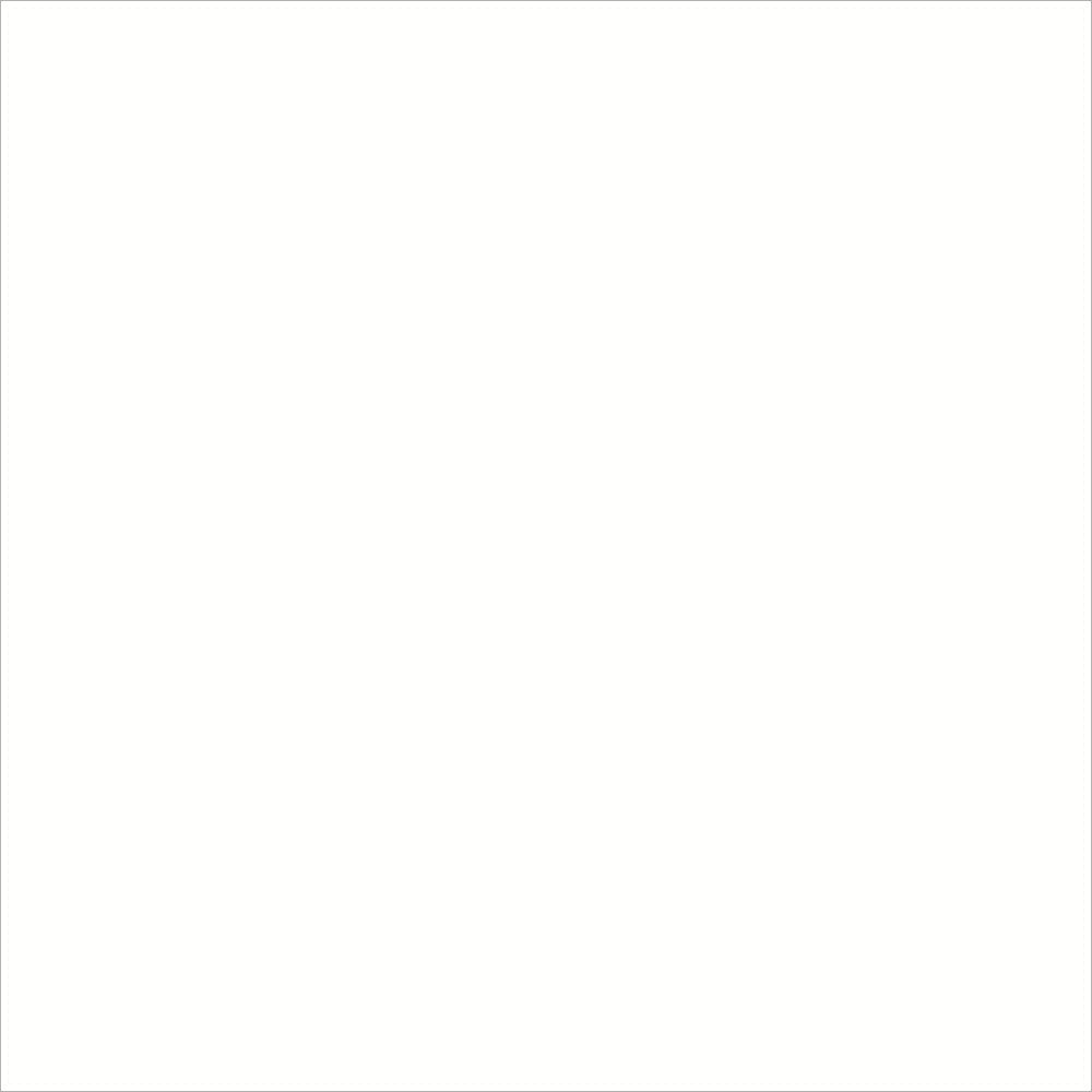 inapa Tecno Colours: Coloured Printer Paper, 120 g/m², A4, 1,250 Sheets (5 x 250), White – Bild 3