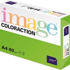 Coloraction Antalis 838A 080S 26 Copy Paper DIN A4 Java Pea Green 80 g/m2