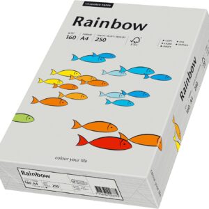 Papyrus Rainbow 88042813 Multi Purpose Paper A4 160 g/m² 250 Sheets Grey