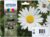 Epson Original Ink Daisy