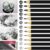 OWLKELA 12 Piece Pencils, Pencil Set – 2H H F HB B 2B 3B 4B 5B 6B 7B 8B, Sketching Pencils, Drawing Pencils – Artistic Creations, Drawings, Sketching – Lover of Painting