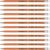 OFFICER PRODUCTS DONAU 7388001PL-99 Pencil Cedar Wood / HB Pencils with Eraser / Pack of 12 / Hexagonal Shape / Non-Toxic